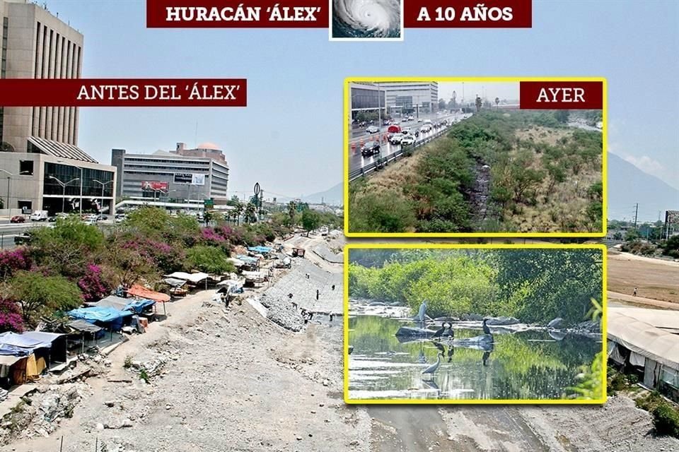Desde entonces, el río evolucionó a un pulmón importante para el área metropolitana, con un ecosistema que, de acuerdo con especialistas, no tenía desde hace alrededor de un siglo.