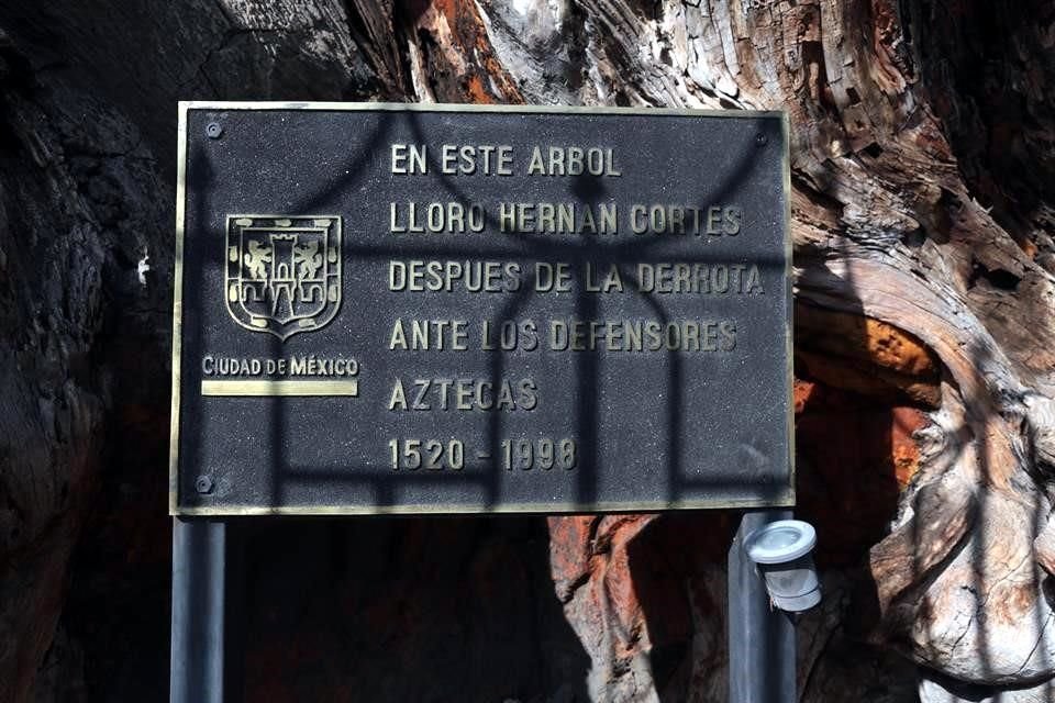 Así se ve el Parque y el Ahuehuete donde Lloro Hernán Cortés en la Noche Triste.