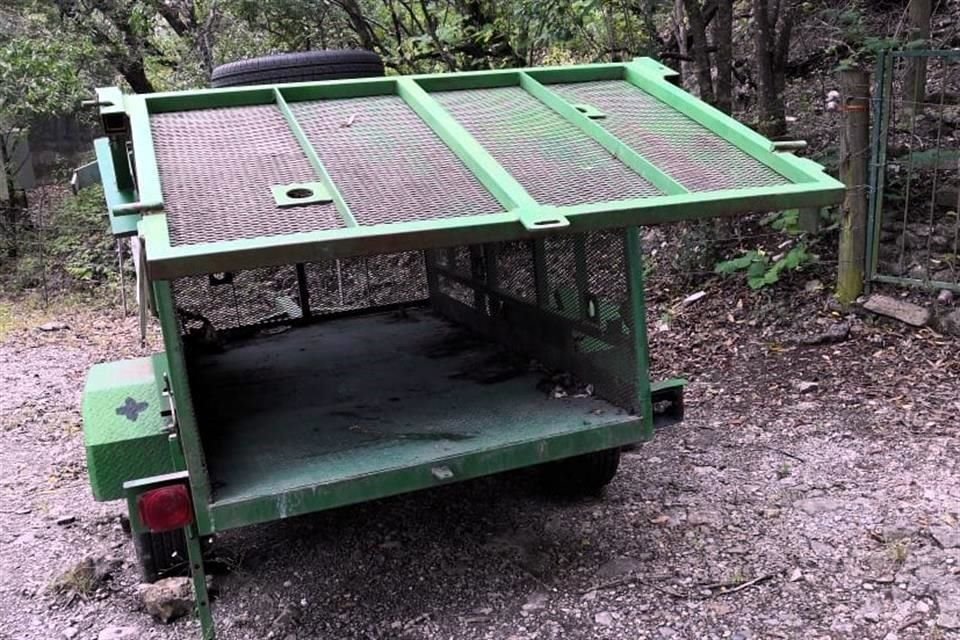 Parques y Vida Silvestre colocó trampas en diferentes sectores de San Pedro para buscar capturar al 'oso sociable'.