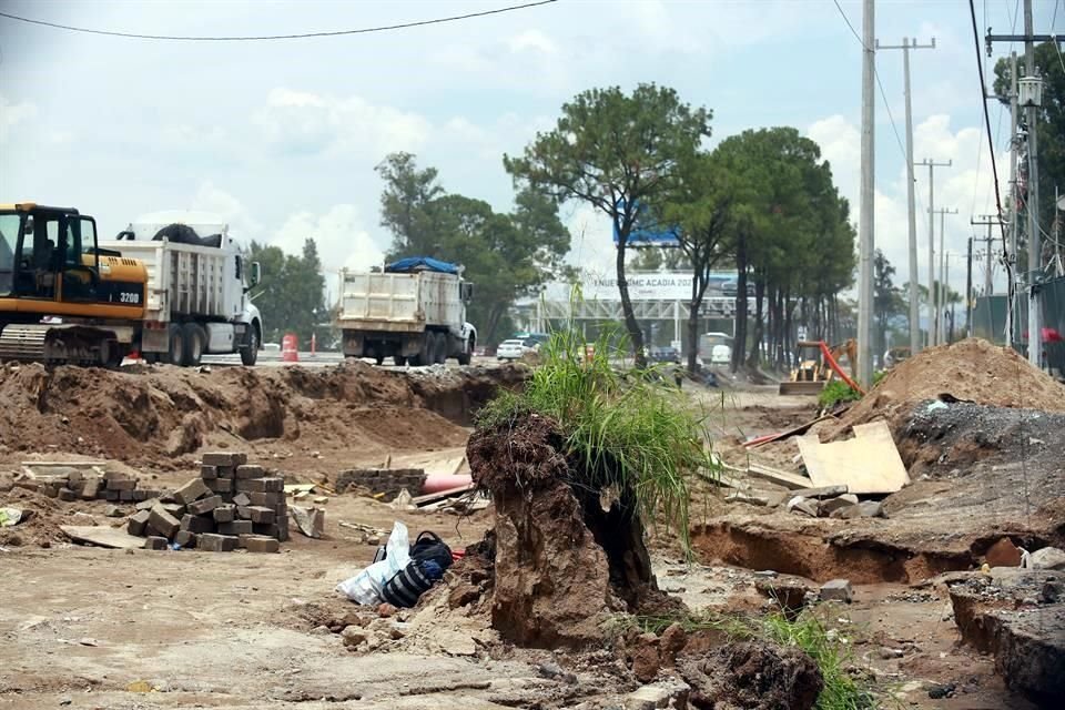 El panorama se ha modificado en el Periférico con las obras; especialistas lamentan que las áreas verdes no crezcan.