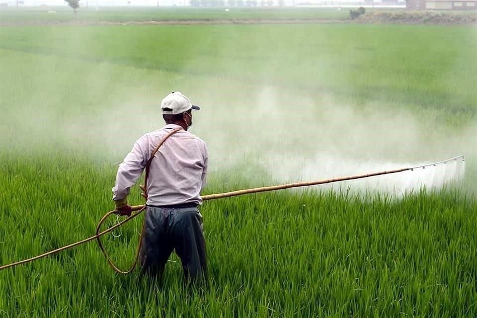 Desde que Conamer público el nuevo proyecto el 23 de octubre, decenas de productores agrícolas han enviado comentarios apoyando la permanencia del glifosato.