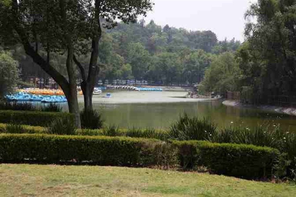 El plan para Chapultepec, propuesto por el artista Gabriel Orozco, integrará cuatro secciones del Bosque con senderos y nodos culturales.  
