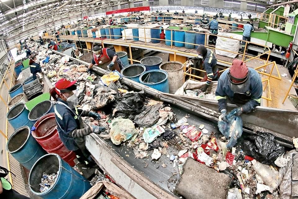 Reciclable o no? Errores más comunes al separar la basura – Telemundo Las  Vegas