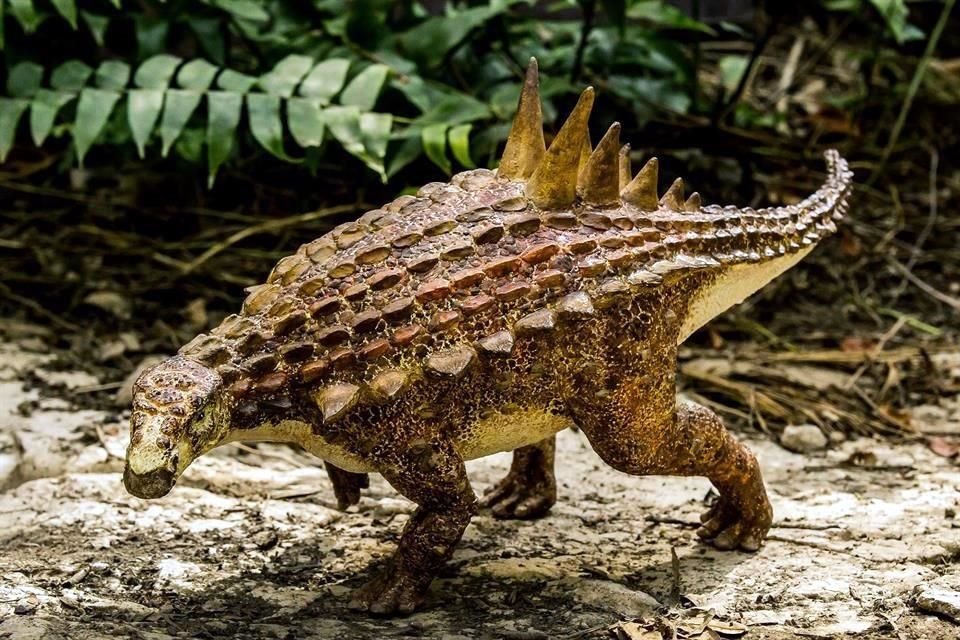 El dinosaurio fue nombrado Acantholipan gonzalezi.