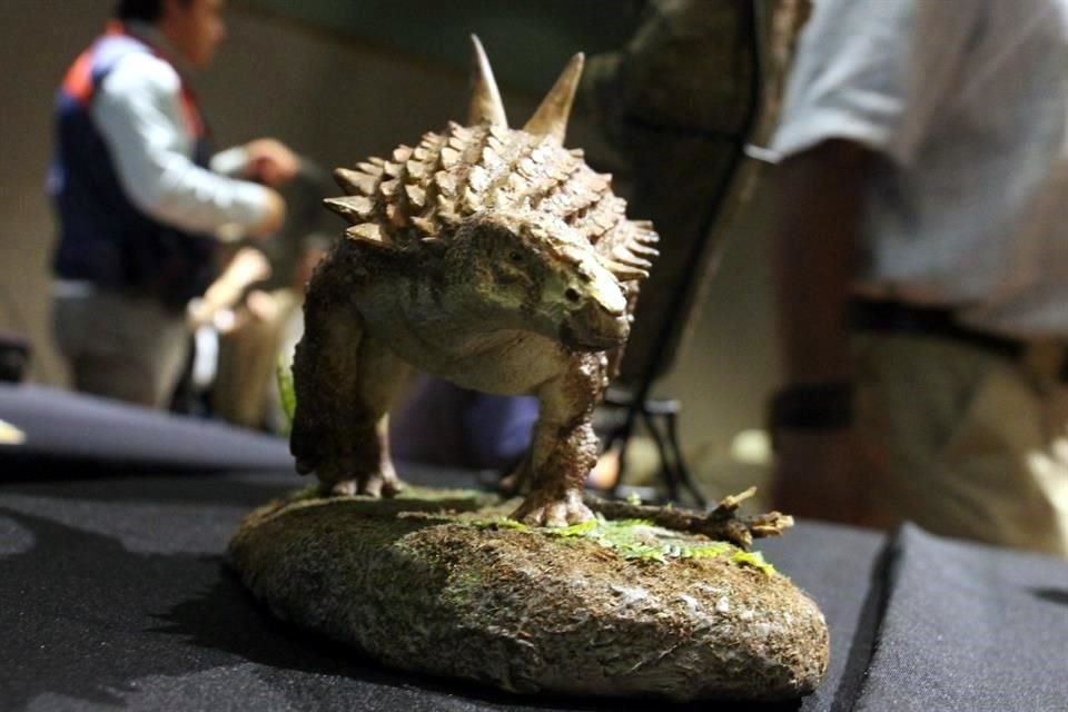 El ejemplar llegaba a medir unos 3.5 metros, pesaba una media tonelada, y tenía una coraza en la espalda con espinas, especialmente dos grandes a la altura de la cadera.