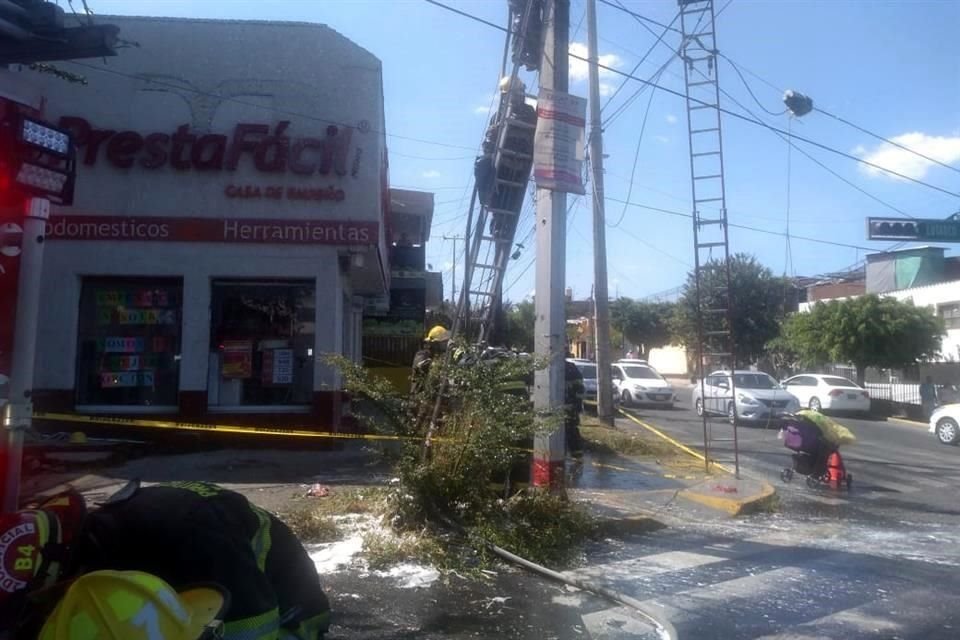 Mientras trabajaba con una desbrozadora en la vía pública, un hombre fue atacado por un enjambre de abejas y recibió cerca de mil picaduras.