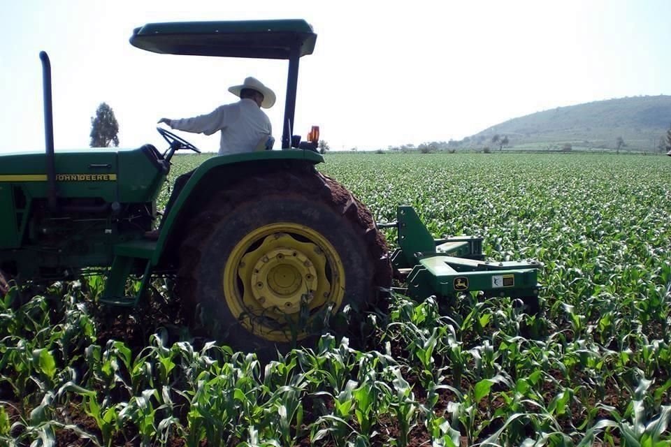 Para el cierre de este año, el Grupo estimó una producción de granos y oleaginosas de 36 millones 540 mil toneladas, 0.2 por ciento abajo de lo producido el año pasado.