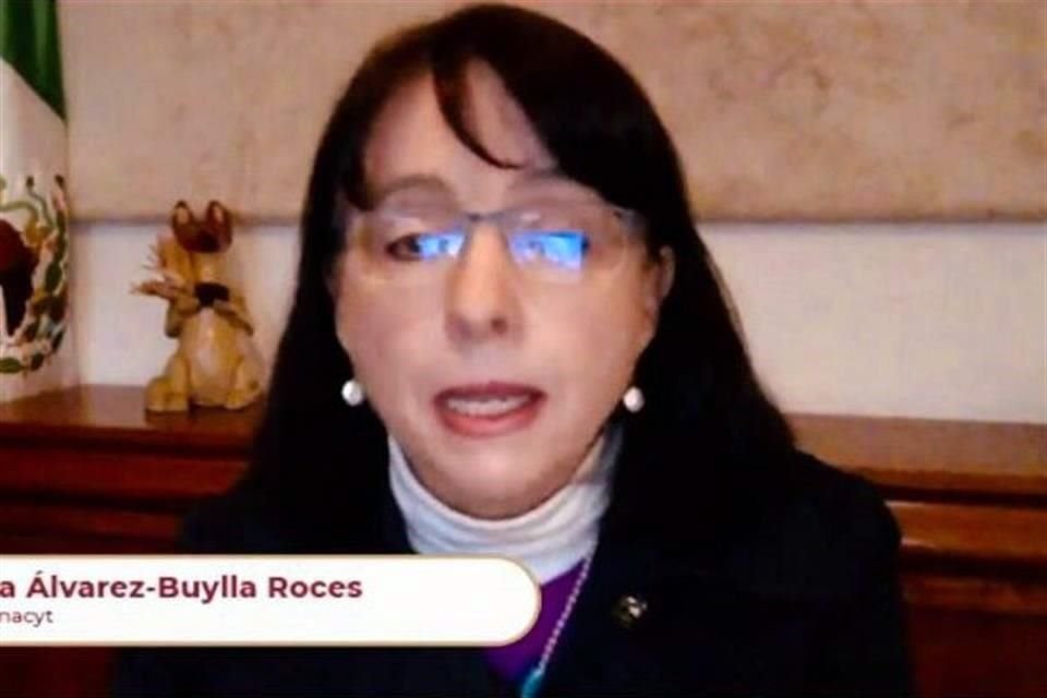 María Elena Álvarez-Buylla, titular del Concayt.