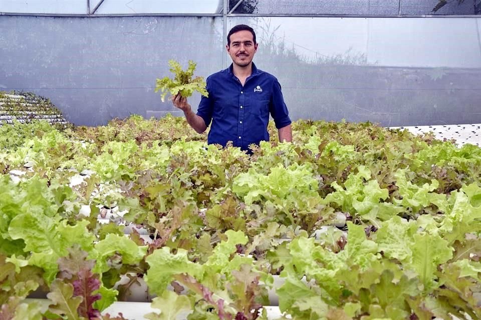 José Manuel González, CEO de Frondem habla de lo importante que es cultivar alimentos de manera sustentable.