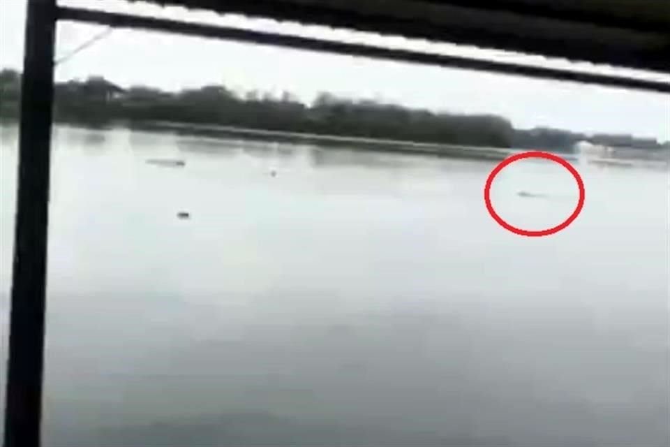El momento en el que un hombre murió al  ser atacado por un cocodrilo quedó captado en un video que circula en redes sociales.