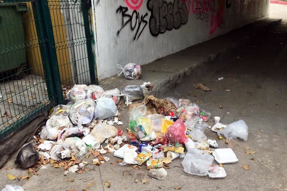 Caro presentó ante el Congreso de Jalisco una iniciativa para que se implementen multas ejemplares a quienes tiren basura.