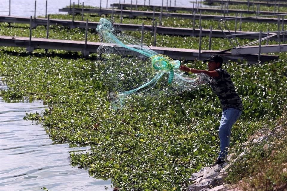 Pese a la contaminación de la laguna, hace una semana pescadores tiraban sus redes para atrapar ejemplares de tilapia y charal.