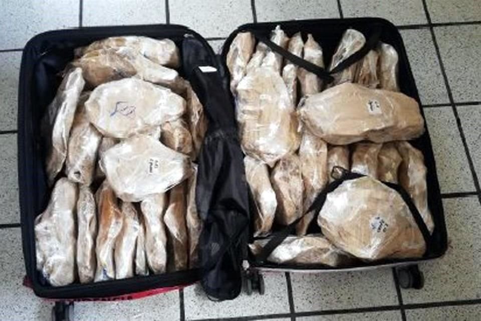 Una persona que transportaba más de 43 millones de pesos en buches de totoaba fue vinculada a proceso, informó la Profepa.