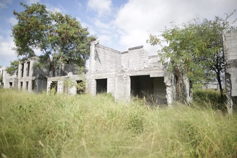 Entre hierba, Guadalupe tiene un fraccionamiento de casas abandonadas en la calle Camino Vecinal, entre las colonias Portal de Xochimilco y Jardines de Xochimilco.