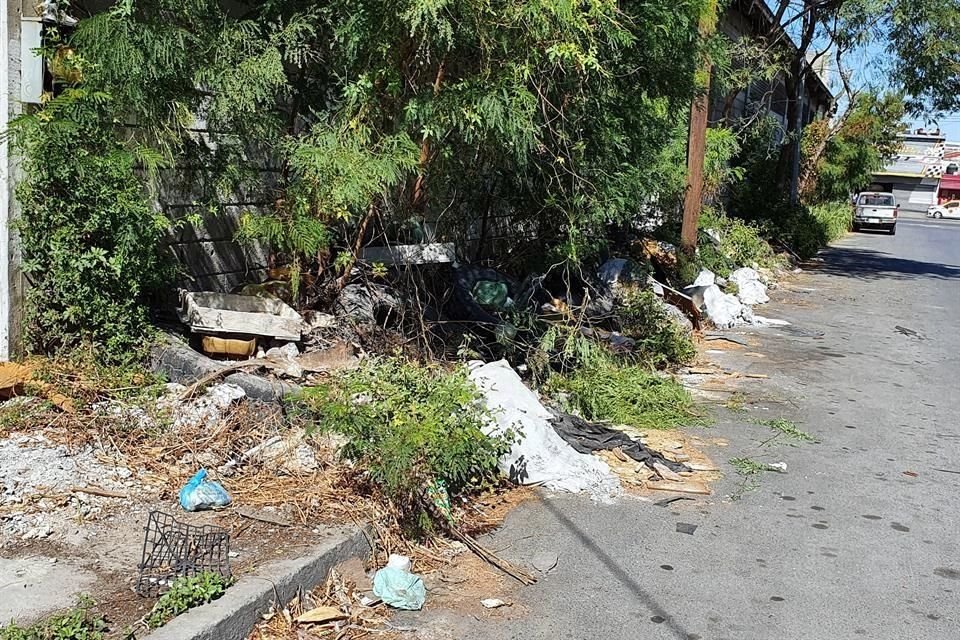 Desechos, muebles viejos y la hierba crecida invaden las banquetas de diversas calles de la Colonia Moderna.