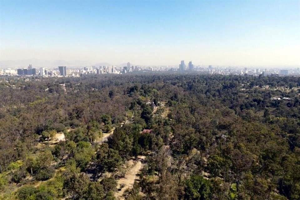 El Proyecto Chapultepec transformará Avenida Constituyentes, una vía rápida del centro y Circuito Interior a Reforma y Santa Fe.