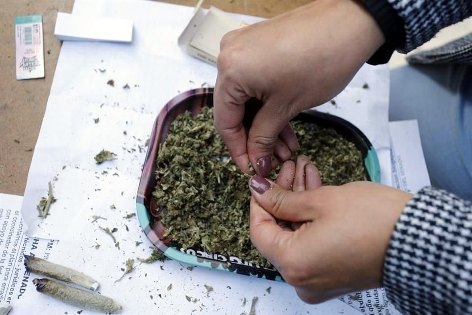 OSC señaló que fallo de la Corte para no castigar portación de más de 5 gramos de mariguana es insuficiente, pues no elimina el tipo penal.