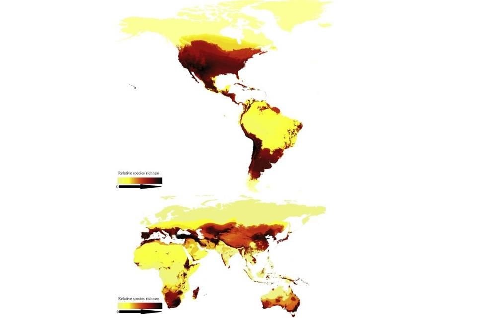 Científicos crearon el primer mapa de las más de 20 especies de abejas que existen en todo el mundo.