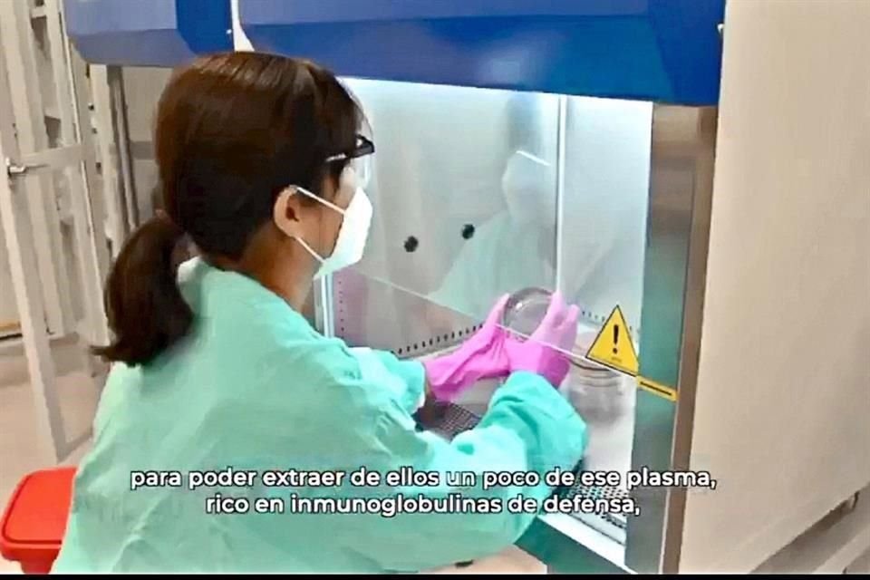 Toma de plasma de pacientes recuperados en el Hospital General de Zona 1 de Chiapas.