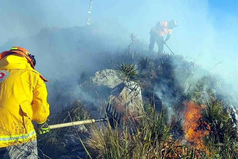 Un incendio presuntamente provocado afectó 1.5 hectáreas de matorral y vegetación en el Cerro de la Silla, en Guadalupe.