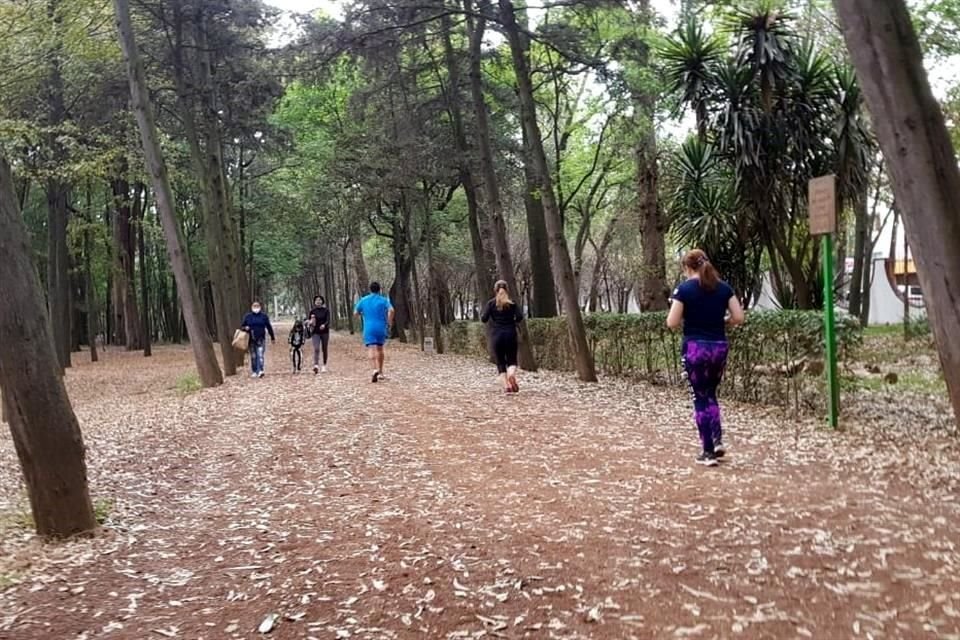 Luego de permanecer 38 días cerrado por Semáforo Rojo en la CDMX, el parque Viveros de Coyoacán reabrió