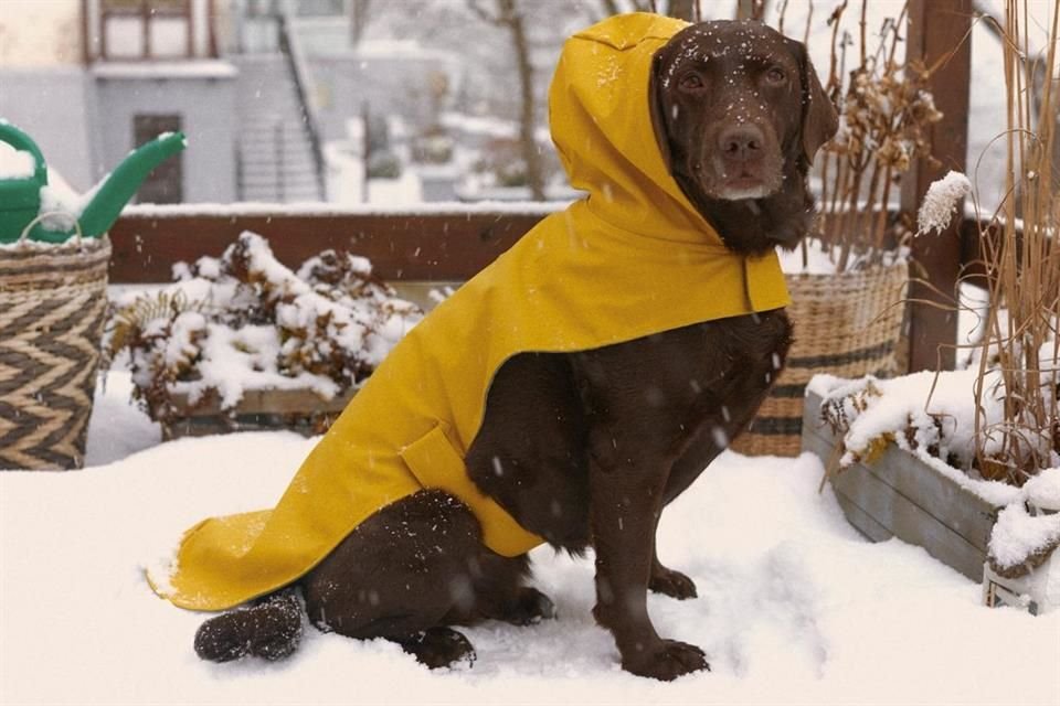 Todo el estilo en un sólo impermeable.