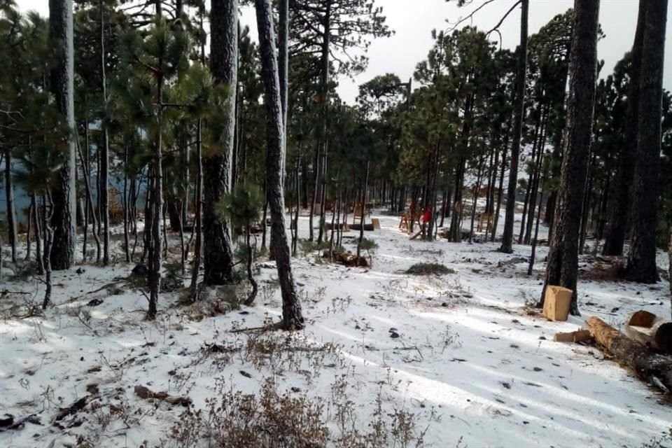 Autoridades reportaron caída de nieve en algunas zonas de Galeana e Iturbide.