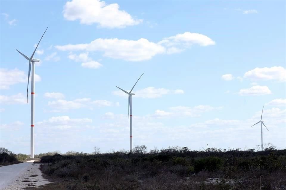 Las empresas con autoabastecimiento son aquellas que generan cerca del 14% del PIB, según el CCE.