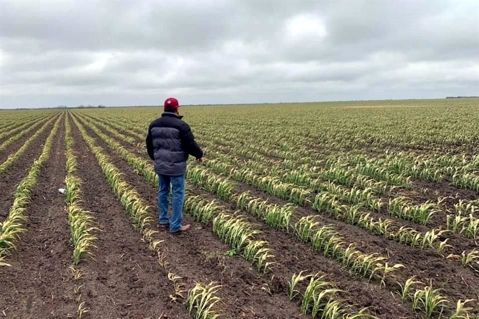 Los recursos asignados a la dependencia son mayores a la propuesta enviada por el Gobierno federal, que había determinado 73 mil 616 millones de pesos.