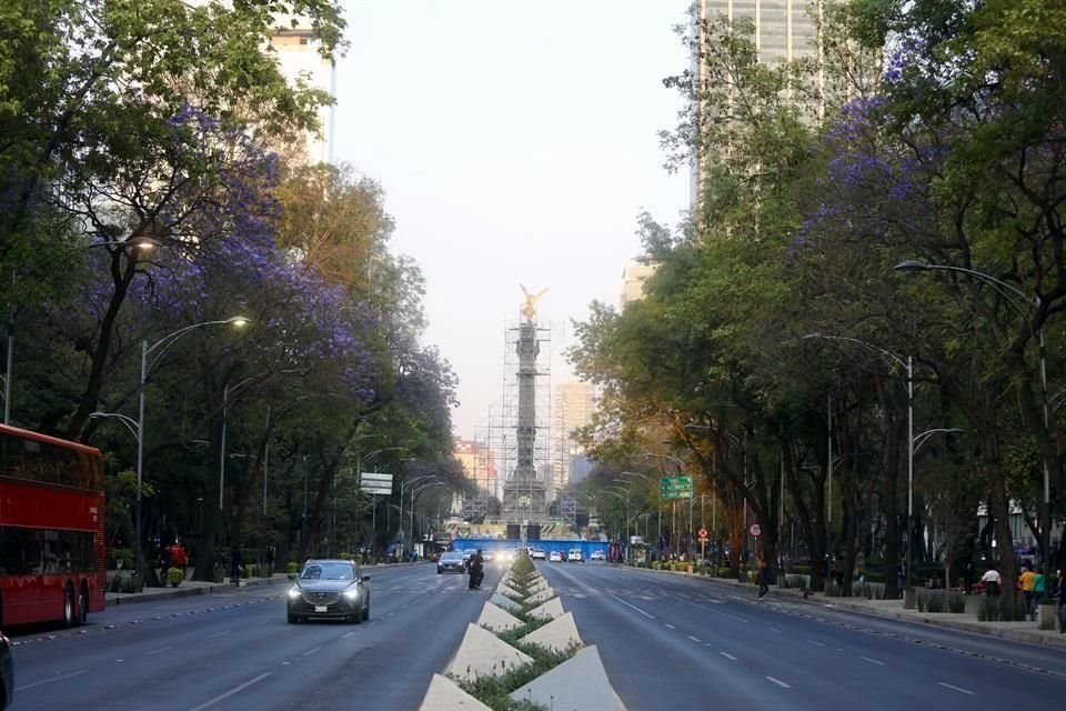 Los proyectos se encuentran sobre Paseo de la Reforma, en las colonias Guerrero, Tabacalera, Juárez y Cuauhtémoc, así como en Prolongación Paseo de la Reforma, en Santa Fe.