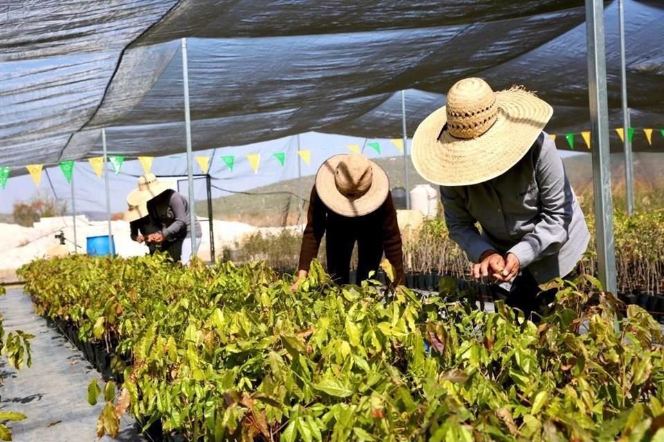 El pequeño productor puede ser líder en la lucha contra el cambio climático y convertirse en granjas inteligentes.