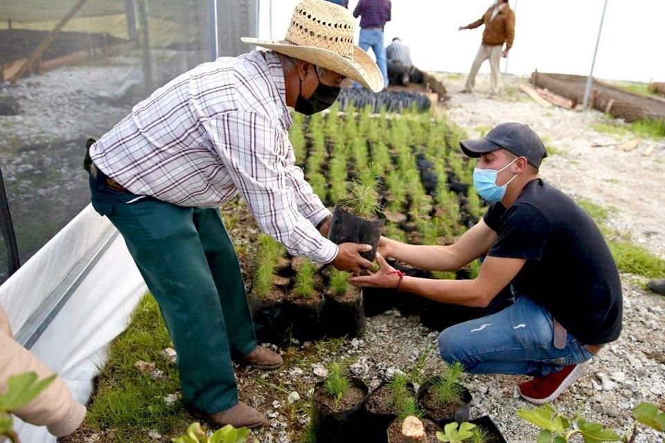 Gobierno prevé la desaparición de Financiera Rural.