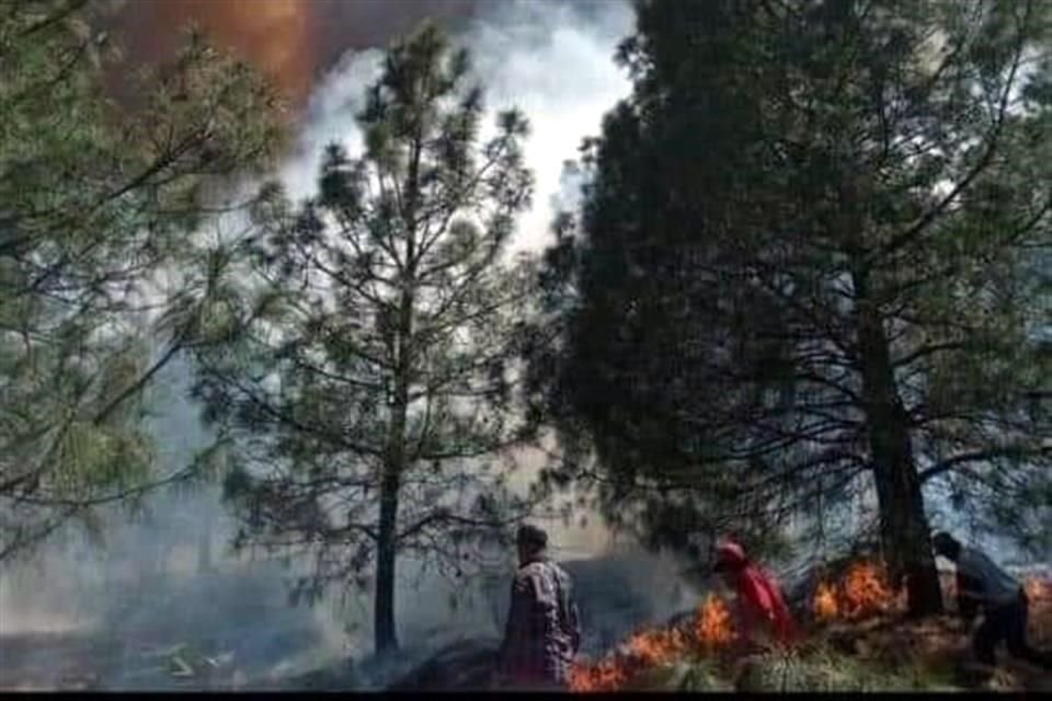 El siniestro fue reportado poco antes de las 15:30 horas, en los límites de Santiago con Arteaga, Coahuila.