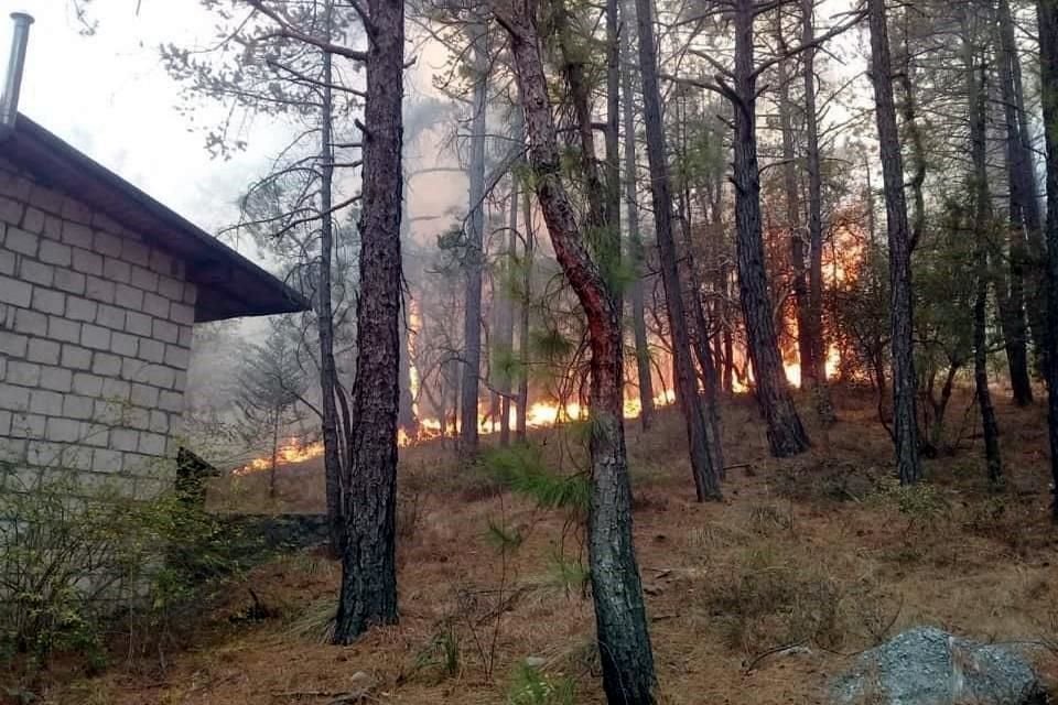 Los primeros reportes señalan que este es el primer incendio forestal grande de la temporada y que se desató en una zona de arbolado adulto y pinos, conocida como 'La Pinalosa'.