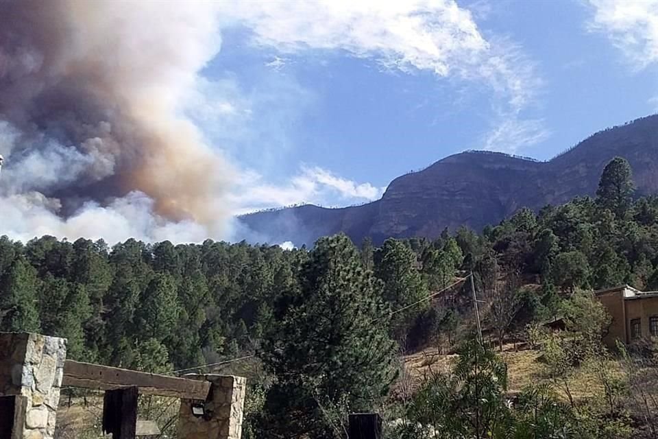 Los primeros reportes señalan que este es el primer incendio forestal grande de la temporada y que se desató en una zona de arbolado adulto y pinos, conocida como 'La Pinalosa'.