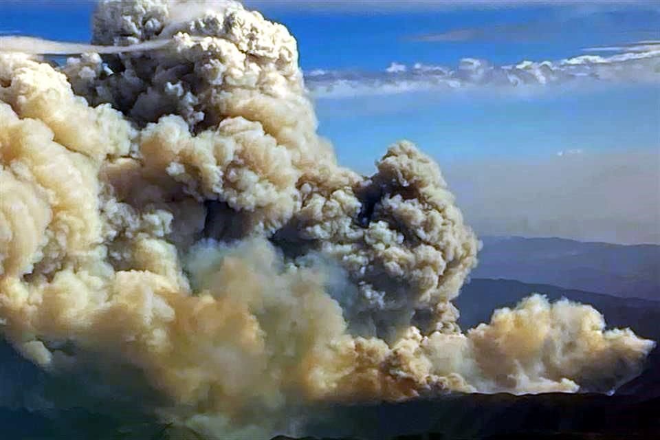 Incendios forestales en NL en lo que va del 2021 superan cantidad de hectáreas dañadas por siniestros en los últimos 9 años.