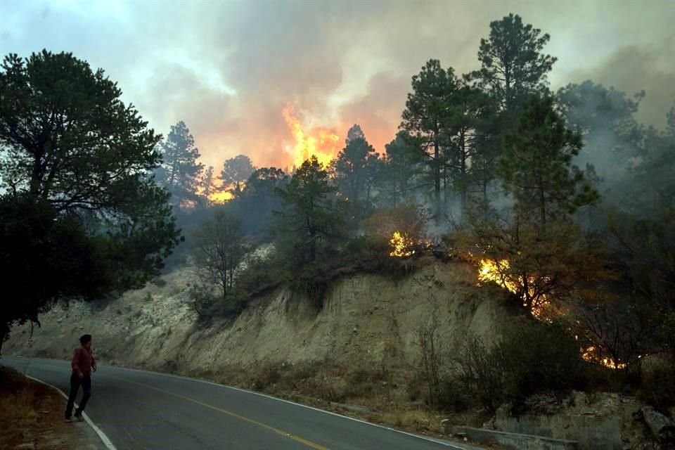 La superficie afectada por el incendio que inició la tarde del martes representa el 60 por ciento de los daños totales por incendios forestales en Coahuila en todo el 2020.