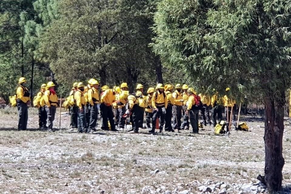 Brigadistas y voluntarios continúan en la sierra de Santiago combatiendo el incendio forestal.