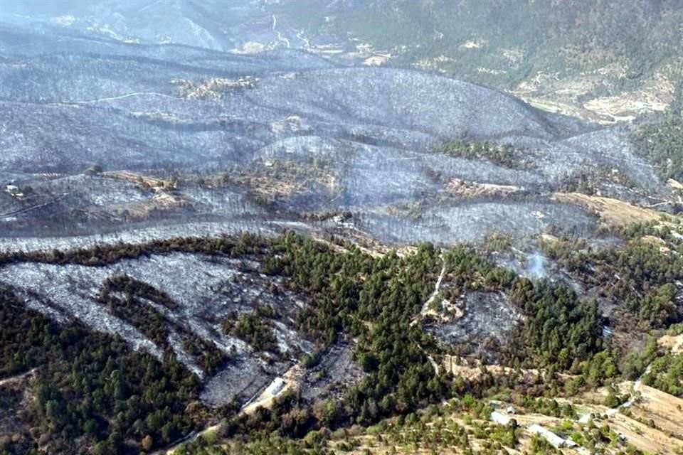 El incendio en la Sierra de Santiago ha consumido más de mil 200 hectáreas.