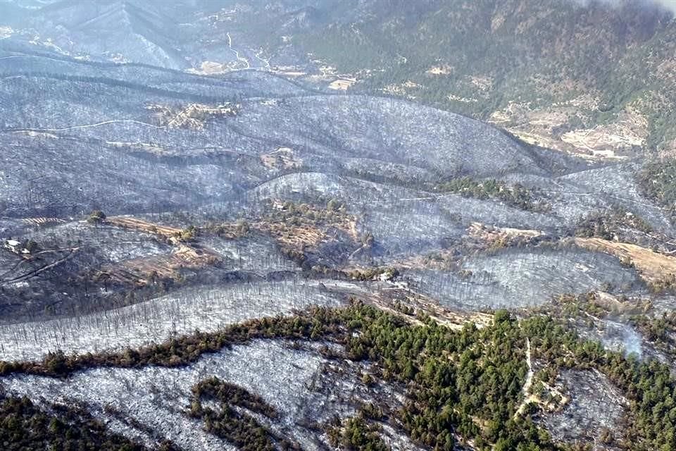 El incendio en la Sierra de Santiago ha consumido más de mil 200 hectáreas.