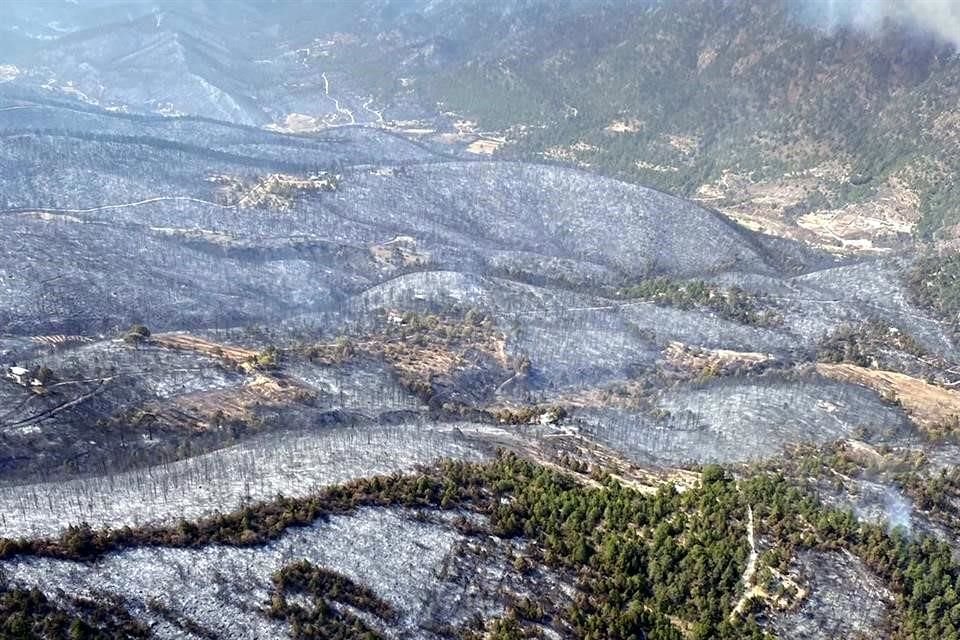 El incendio en la zona de Santiago ya está controlado en 70 por ciento, informó Luis Crescencio Sandoval, titular de la Sedena.