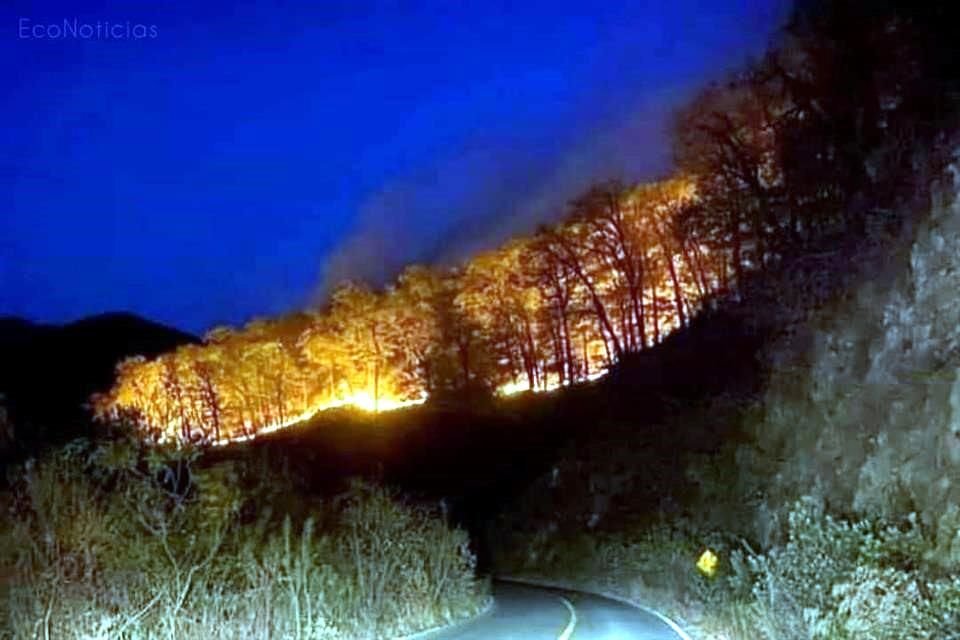 Protección Civil del Estado informó que las llamas estaban en el kilómetro 22 de la Carretera Rayones a Montemorelos.
