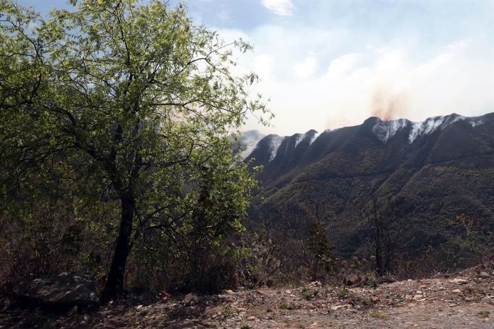 Avanza incendio de la Carretera de Rayones a Montemorelos.