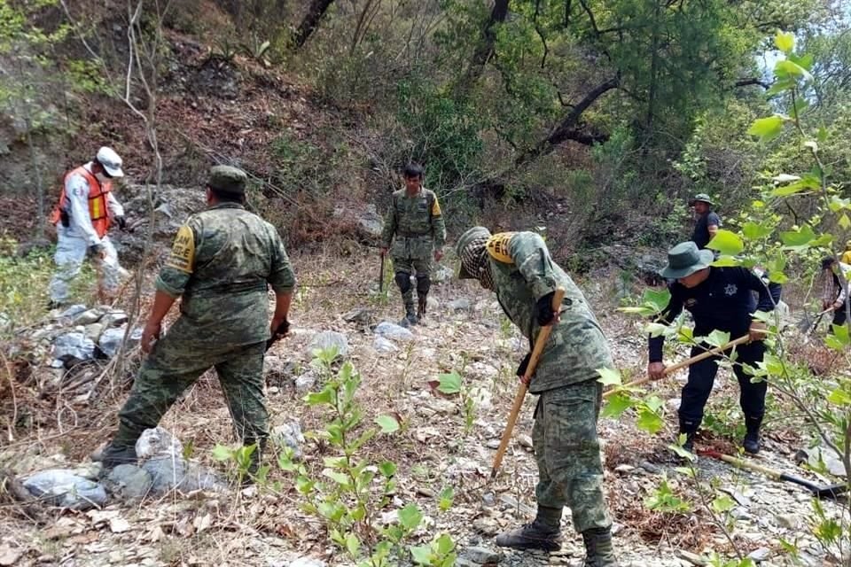 Para este ataque al fuego los elementos usaron una brecha de tres kilómetros abierta el domimgo por voluntarios, y después caminaron varios kilómetros más por un afluente del Río Pilón.