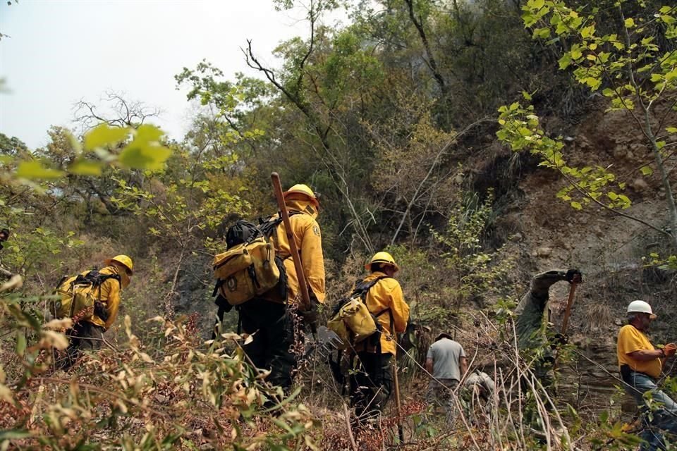 Junto con voluntarios y personal de la Conafor, los militares abren brechas para evitar que el fuego cruce y se propague a otras zonas más cercanas a poblaciones.