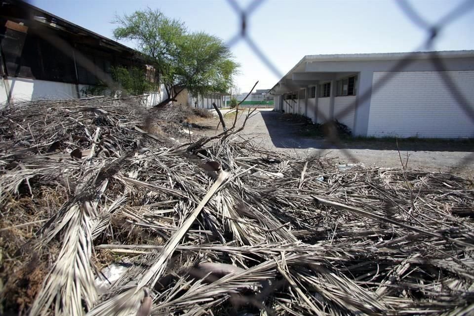 COMO CHIQUERO. En el interior de la secundaria José Luis Mora, en Monterrey, se mantiene un tiradero de hojas de palma, decenas de llantas y maleza crecida.