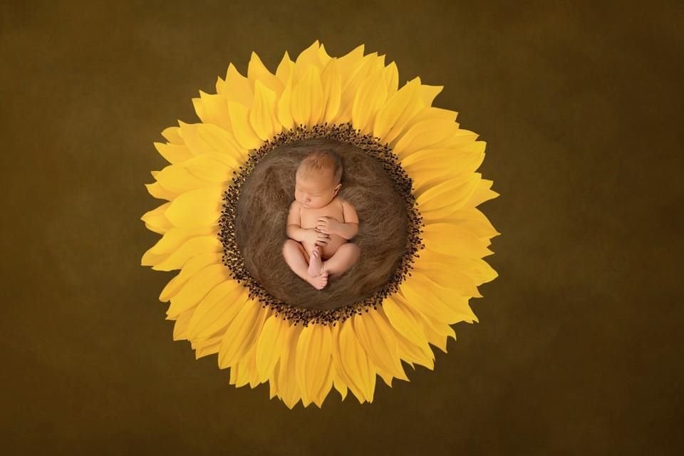 Semilla de girasol, aliada durante el embarazo.