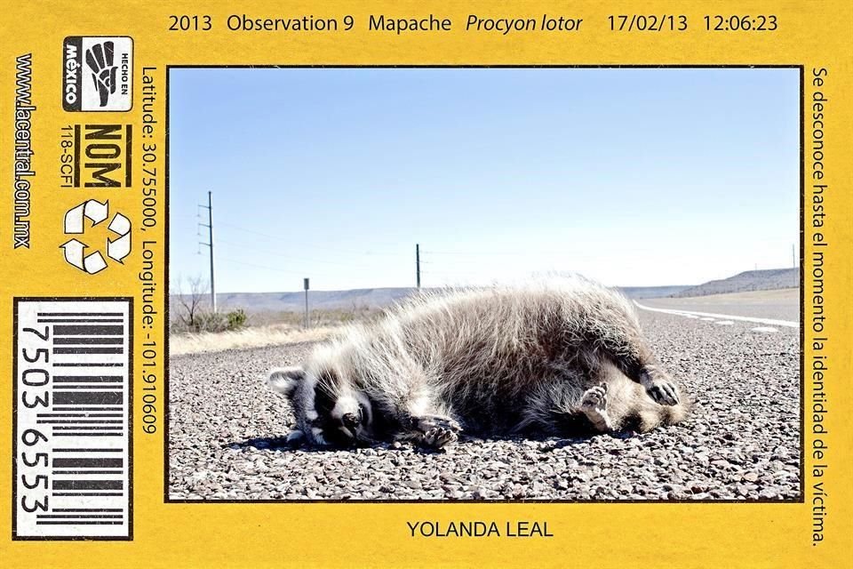 En su proyecto 'La cultura al alcance de la mano' (2015), la artista colocó imágenes de su seris 'Roadkill project' en cajas de cerillos.