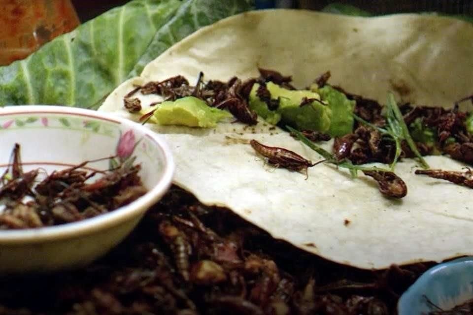 Google Arts & Culture abrió a partir de este lunes la muestra virtual 'Sabores de México', que homenajea la gastronomía del País.