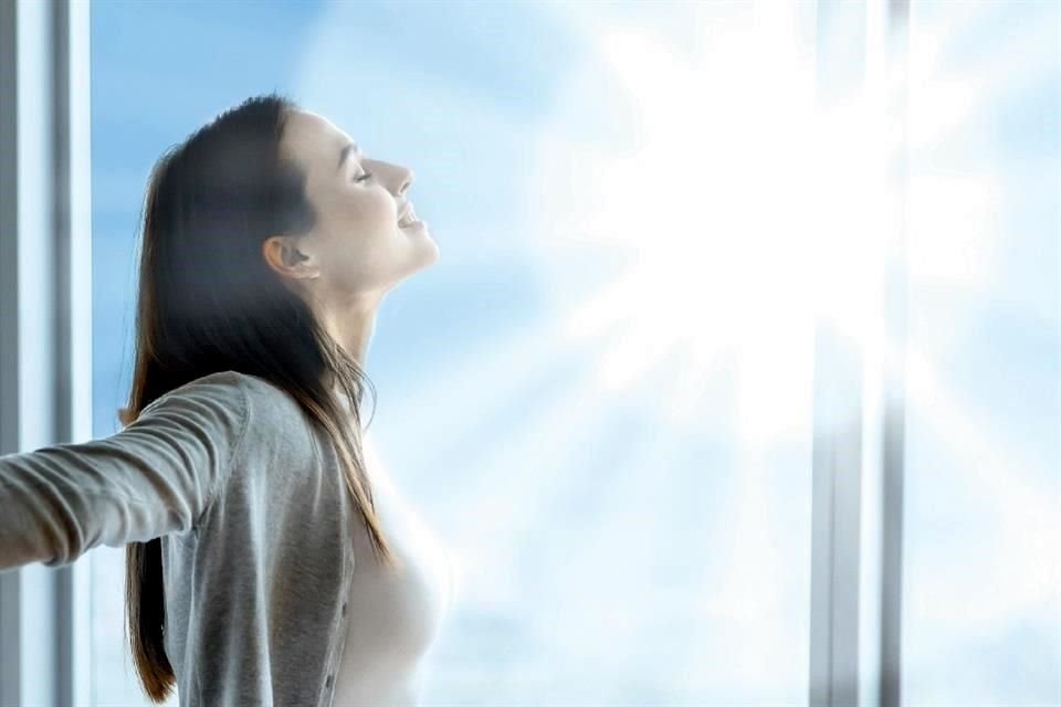 LUMAX ofrece dos niveles de transmisión de luz en sus versiones 51 y 68, dependiendo la transparencia y el control de calor deseado.